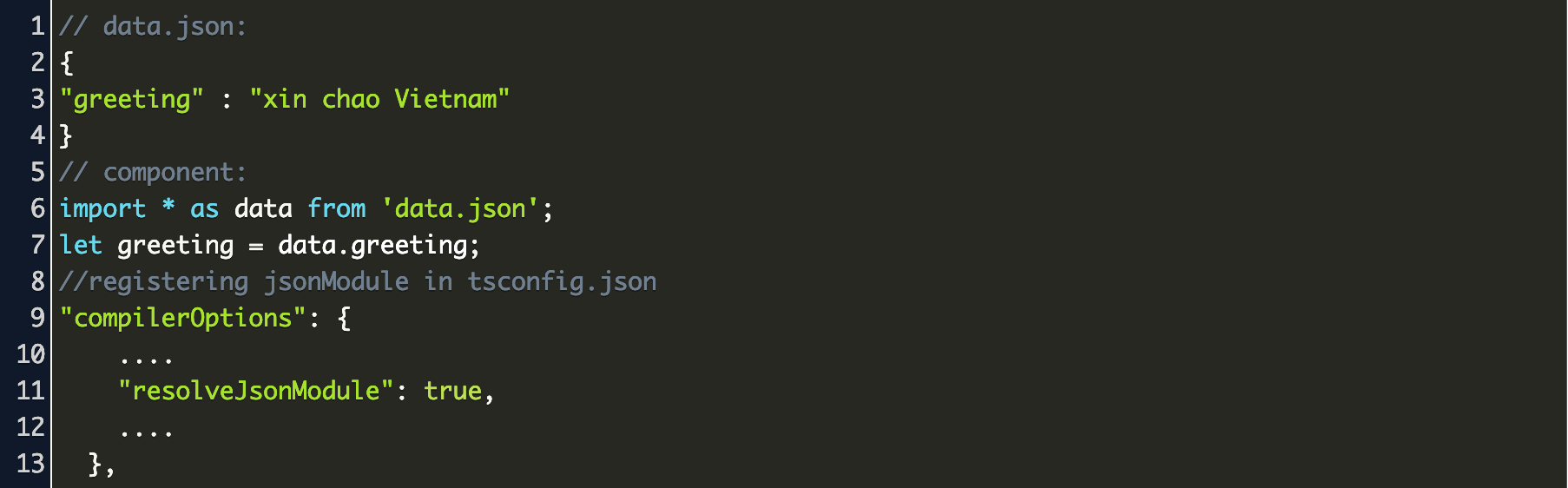 read json file in typescript Code Example